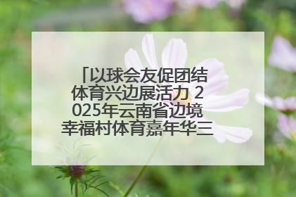 以球会友促团结 体育兴边展活力 2025年云南省边境幸福村体育嘉年华三人篮球赛圆满收官