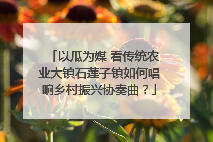 以瓜为媒 看传统农业大镇石莲子镇如何唱响乡村振兴协奏曲？