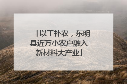 以工补农，东明县近万小农户融入新材料大产业