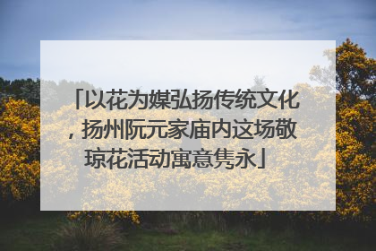 以花为媒弘扬传统文化，扬州阮元家庙内这场敬琼花活动寓意隽永