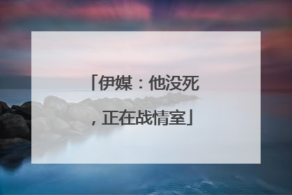 伊媒：他没死，正在战情室