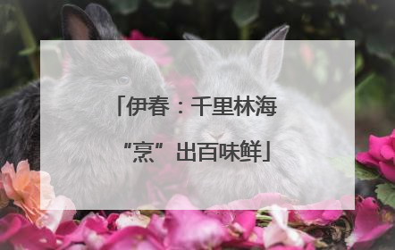 伊春：千里林海“烹”出百味鲜
