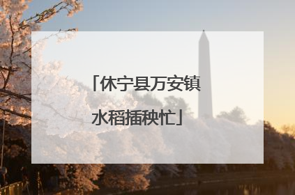 休宁县万安镇水稻插秧忙