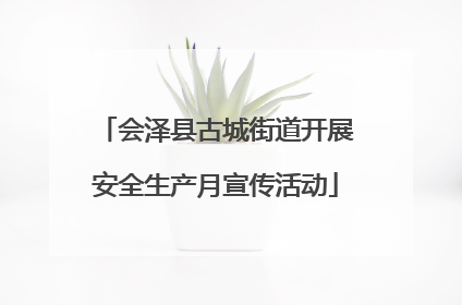 会泽县古城街道开展安全生产月宣传活动