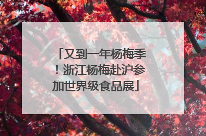 又到一年杨梅季！浙江杨梅赴沪参加世界级食品展