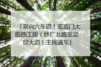 双向六车道！玄武门大街西工段（纱厂北路至定鼎大道）主线通车