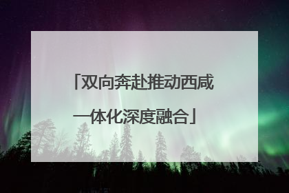 双向奔赴推动西咸一体化深度融合