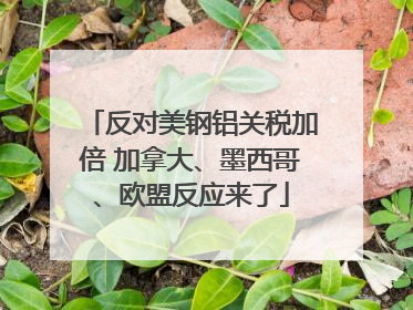 反对美钢铝关税加倍 加拿大、墨西哥、欧盟反应来了