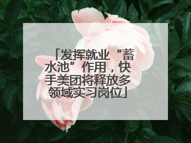 发挥就业“蓄水池”作用，快手美团将释放多领域实习岗位