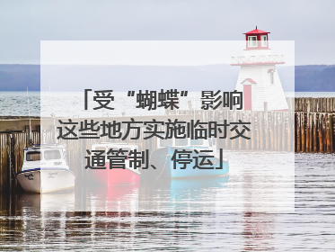 受“蝴蝶”影响 这些地方实施临时交通管制、停运