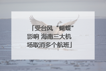 受台风“蝴蝶”影响 海南三大机场取消多个航班