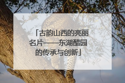 古韵山西的亮丽名片——东湖醋园的传承与创新