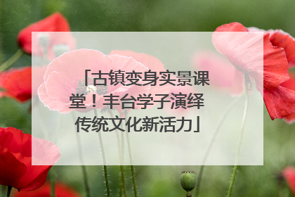 古镇变身实景课堂！丰台学子演绎传统文化新活力