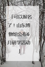 可以报名了！山东博物馆公布6月研学活动
