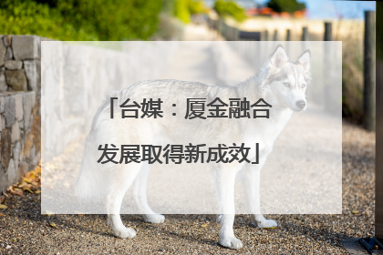 台媒：厦金融合发展取得新成效
