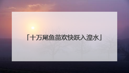十万尾鱼苗欢快跃入湟水