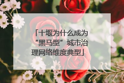 十堰为什么成为“黑马型”城市治理网络维度典型