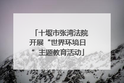 十堰市张湾法院开展“世界环境日”主题教育活动