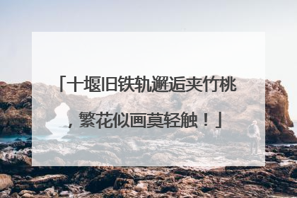 十堰旧铁轨邂逅夹竹桃，繁花似画莫轻触！