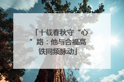 十载春秋守“心”路：他与合福高铁同频脉动