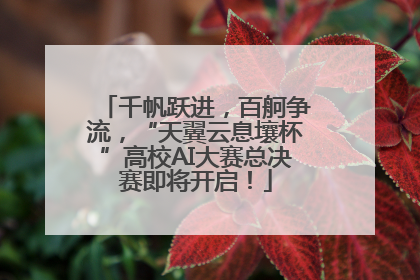 千帆跃进，百舸争流，“天翼云息壤杯”高校AI大赛总决赛即将开启！