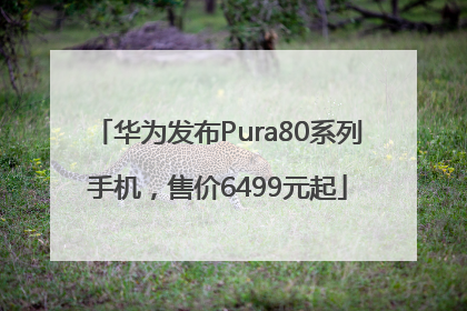 华为发布Pura80系列手机，售价6499元起