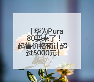 华为Pura 80要来了！起售价格预计超过5000元