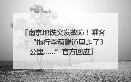 南京地铁突发故障！乘客：“拖行李箱隧道里走了3公里……”官方回应