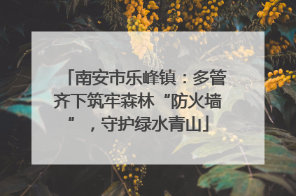 南安市乐峰镇：多管齐下筑牢森林“防火墙”，守护绿水青山