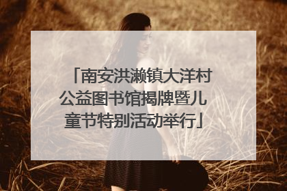 南安洪濑镇大洋村公益图书馆揭牌暨儿童节特别活动举行