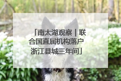 南太湖观察｜联合国直属机构落户浙江县城三年间