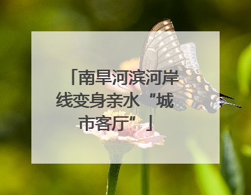 南旱河滨河岸线变身亲水“城市客厅”