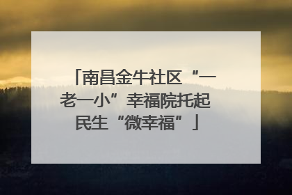 南昌金牛社区“一老一小”幸福院托起民生“微幸福”