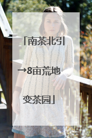 南茶北引→8亩荒地变茶园