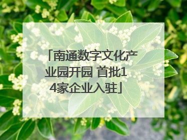 南通数字文化产业园开园 首批14家企业入驻