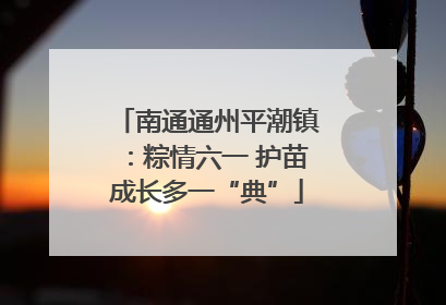 南通通州平潮镇：粽情六一 护苗成长多一“典”