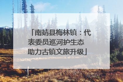 南靖县梅林镇：代表委员巡河护生态 助力古镇文旅升级