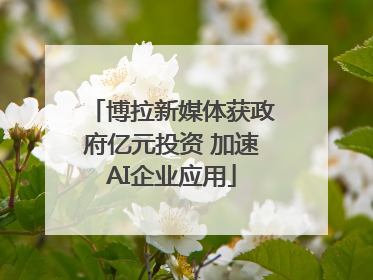 博拉新媒体获政府亿元投资 加速AI企业应用