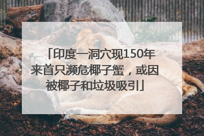 印度一洞穴现150年来首只濒危椰子蟹，或因被椰子和垃圾吸引