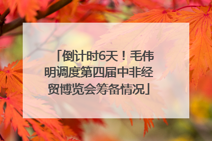 倒计时6天！毛伟明调度第四届中非经贸博览会筹备情况