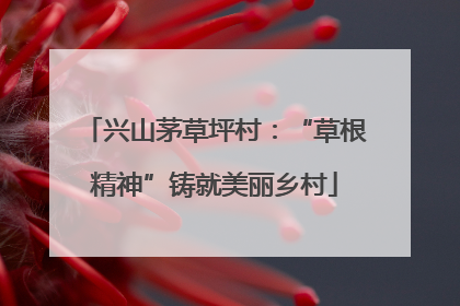 兴山茅草坪村：“草根精神”铸就美丽乡村