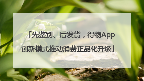 先鉴别、后发货，得物App创新模式推动消费正品化升级