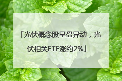 光伏概念股早盘异动，光伏相关ETF涨约2%