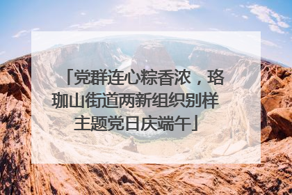 党群连心粽香浓，珞珈山街道两新组织别样主题党日庆端午