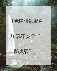 党建引领聚合力 筑牢安全“防火墙”