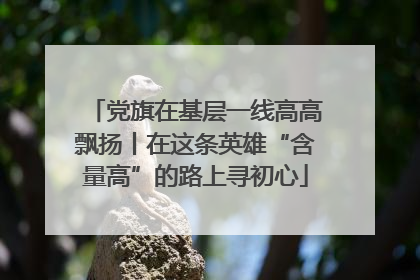 党旗在基层一线高高飘扬丨在这条英雄“含量高”的路上寻初心