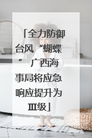 全力防御台风“蝴蝶” 广西海事局将应急响应提升为Ⅲ级