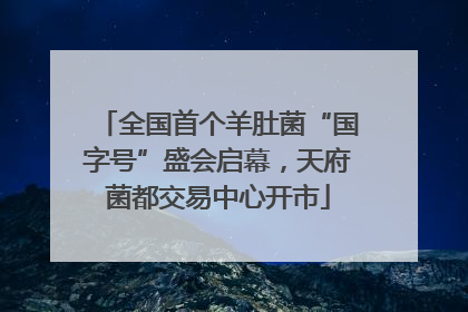 全国首个羊肚菌“国字号”盛会启幕，天府菌都交易中心开市