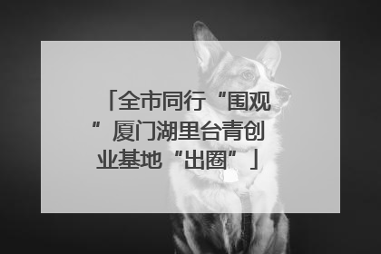 全市同行“围观”厦门湖里台青创业基地“出圈”