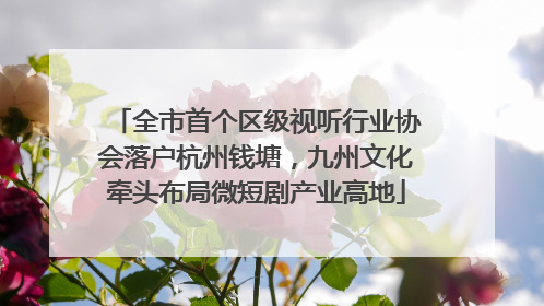 全市首个区级视听行业协会落户杭州钱塘，九州文化牵头布局微短剧产业高地